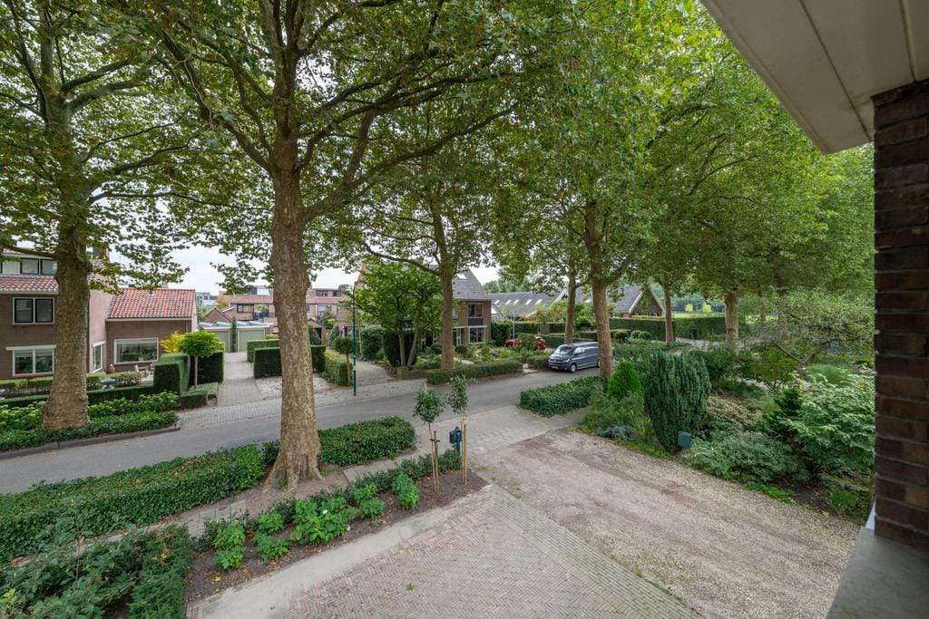Afbeelding 41 van 41