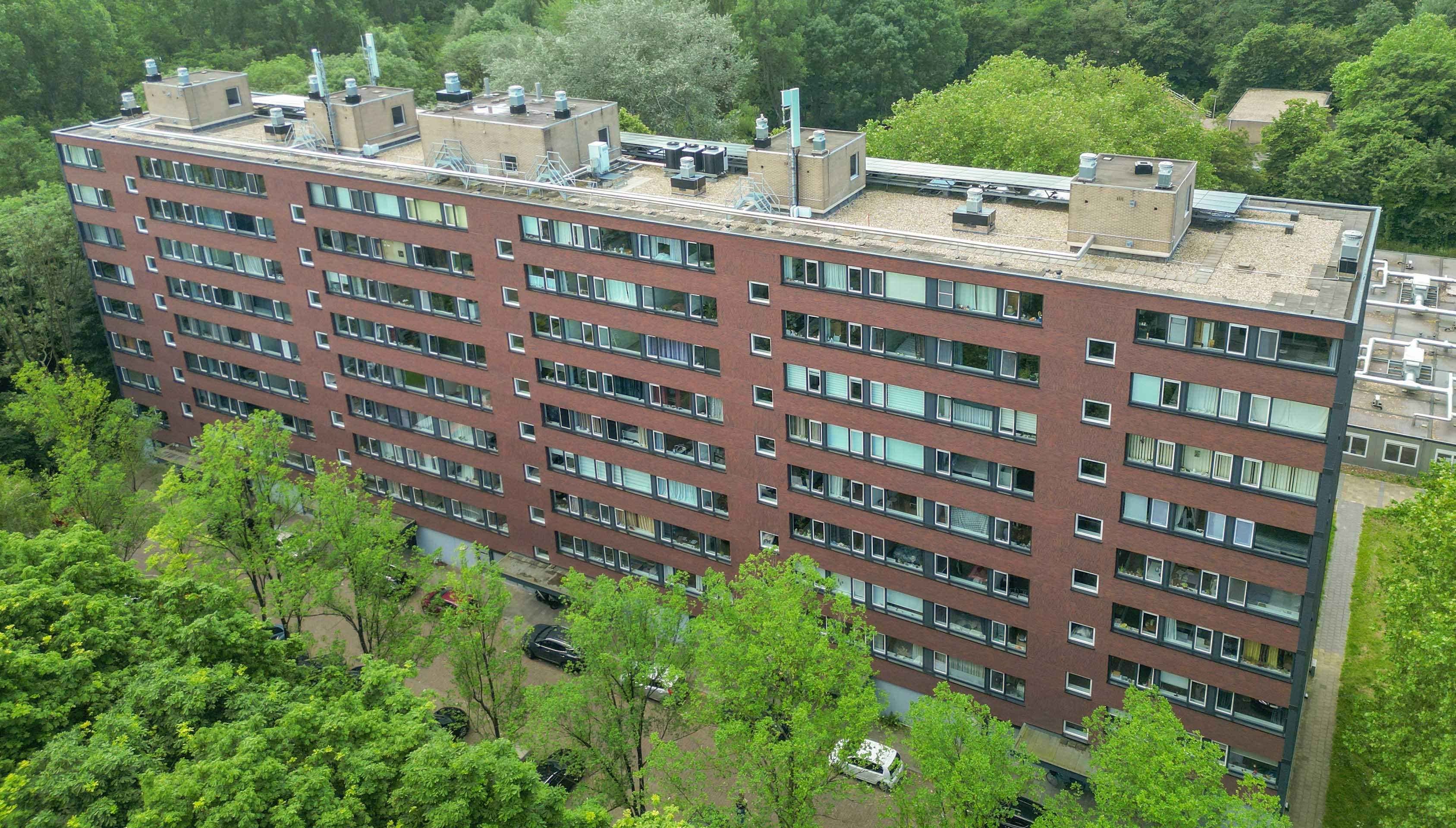 Afbeelding 2 van 6