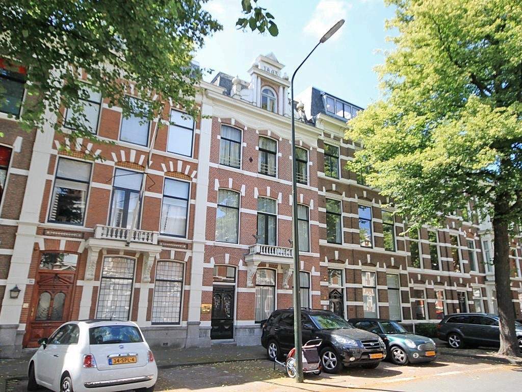 Afbeelding 1 van 19