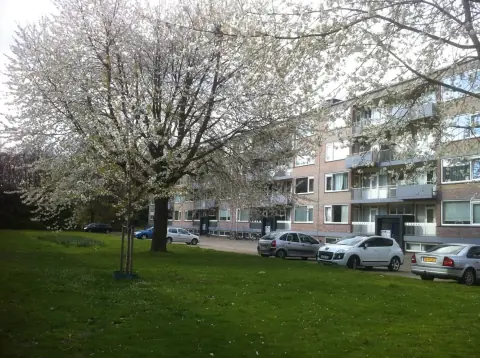 Habitación sin amueblar en Europalaan, Tilburg