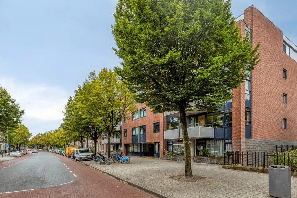Image 24 of 24