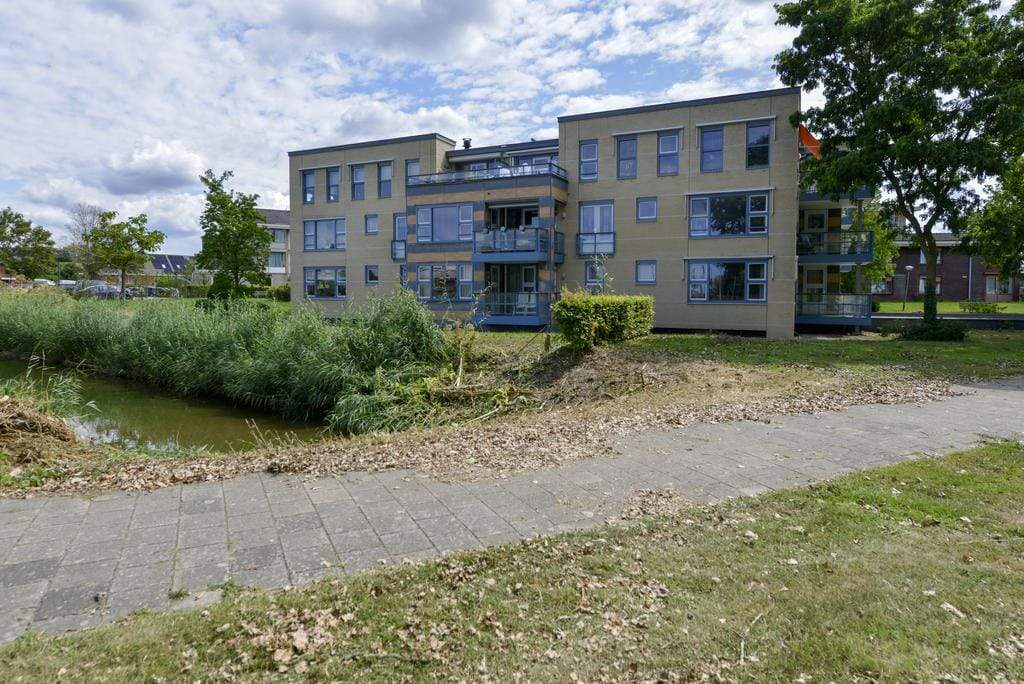 Afbeelding 18 van 24
