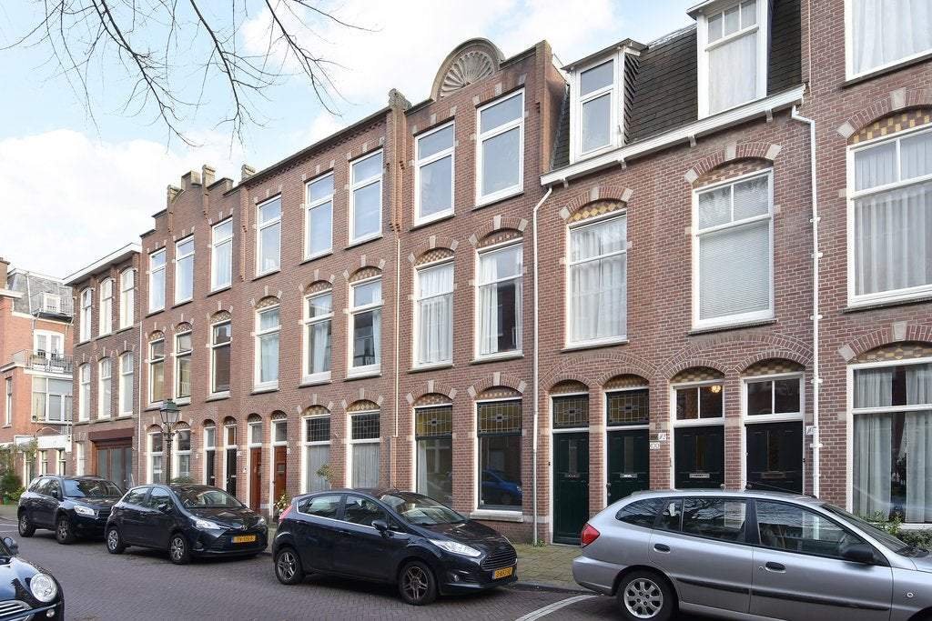 Afbeelding 1 van 19