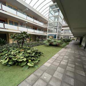 Image 5 of 6