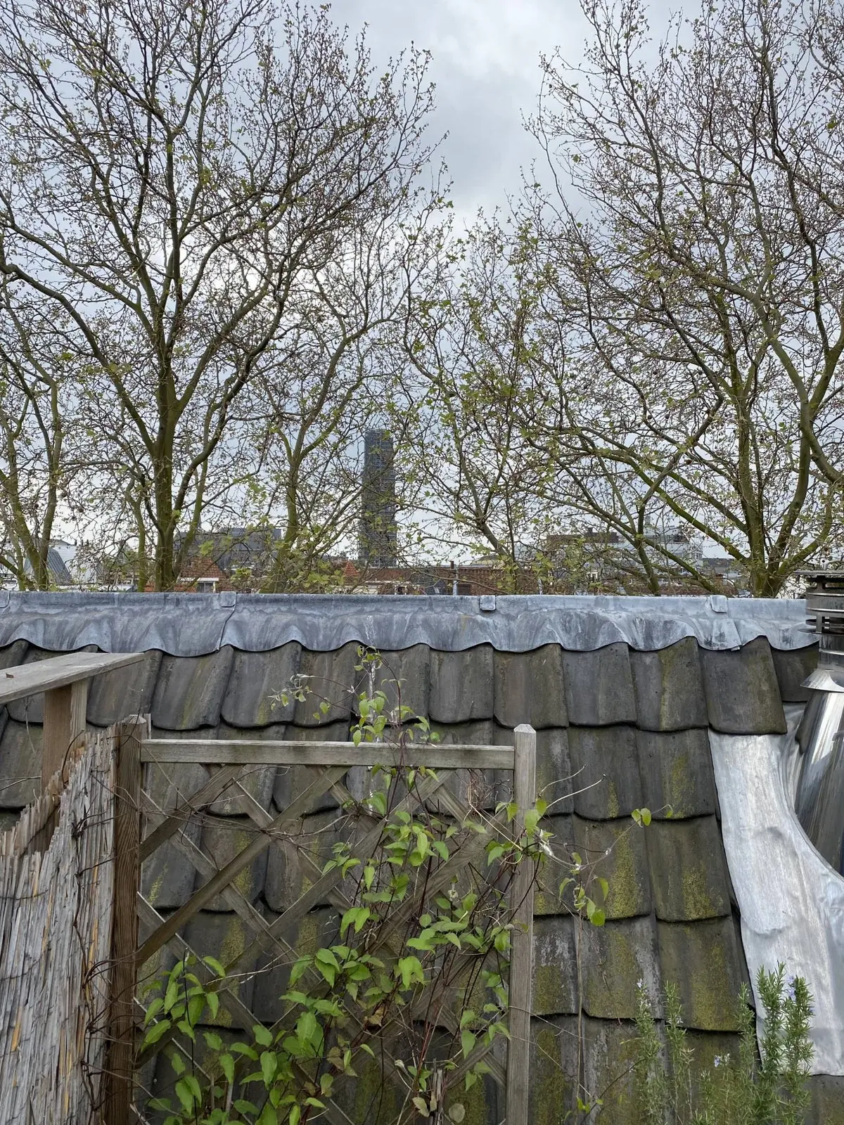 Image 47 of 48