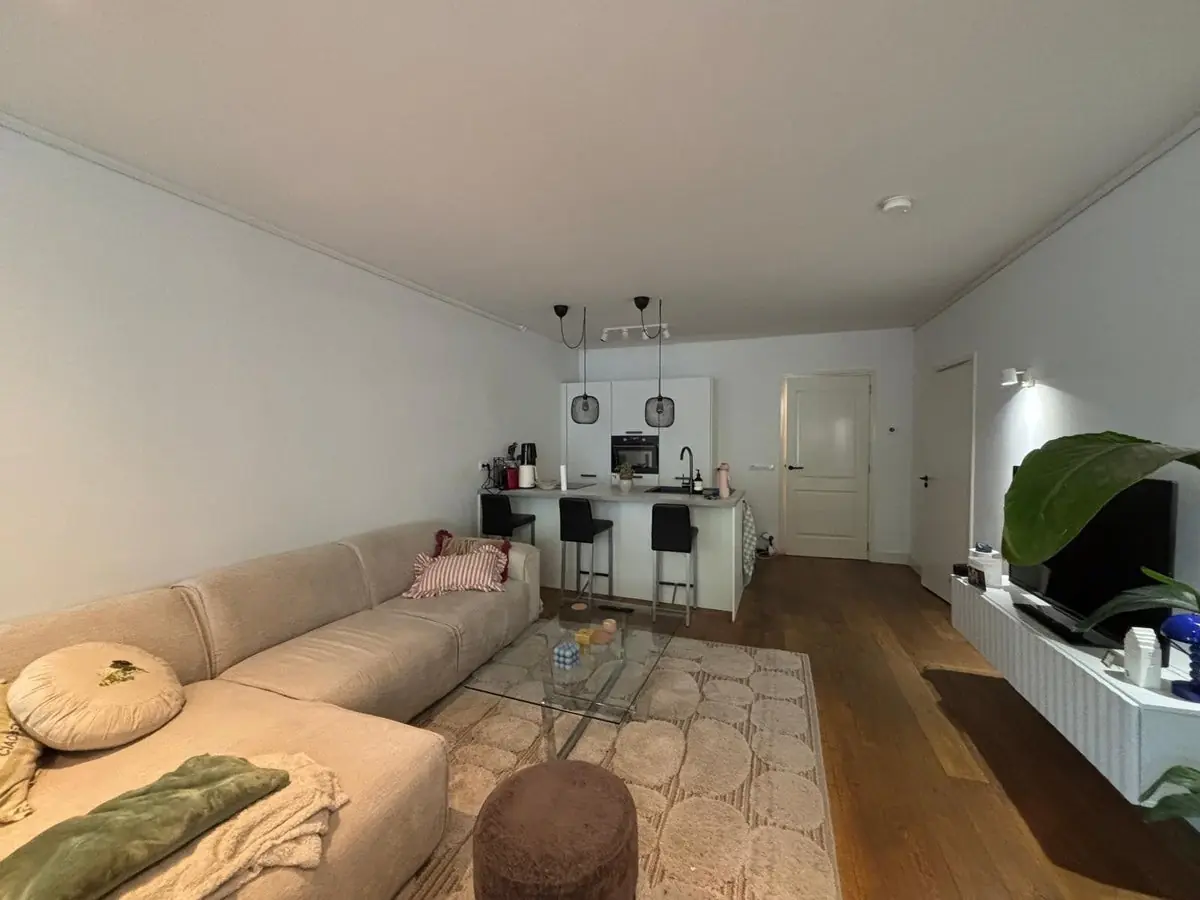 Image 2 of 15