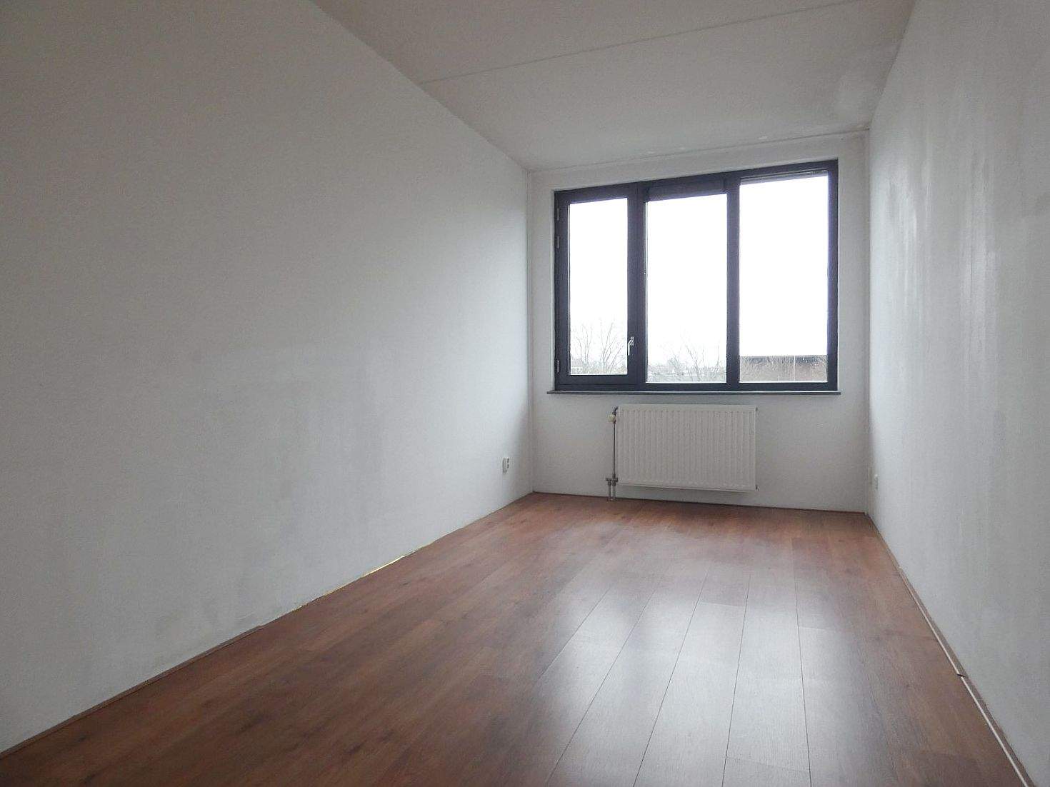 Bild 9 von 21