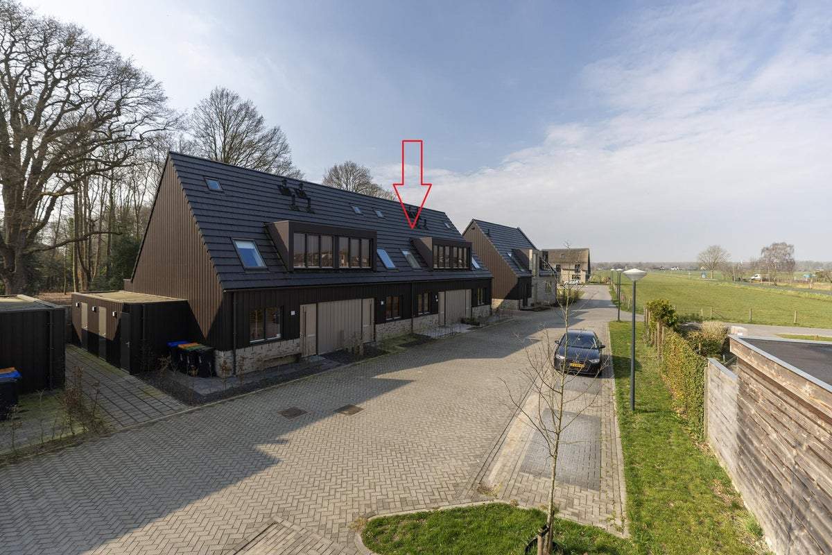 Afbeelding 1 van 30