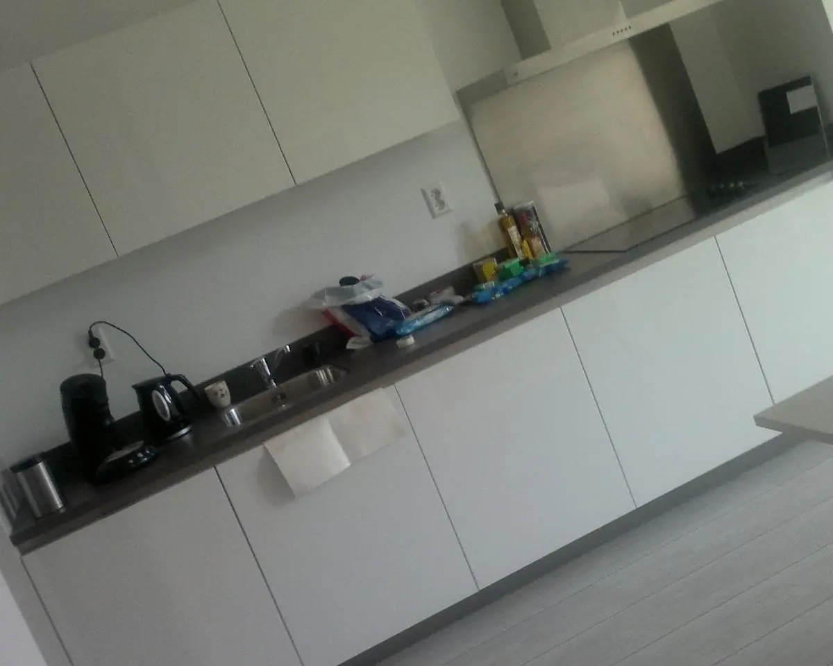 Imagen 3 de 8