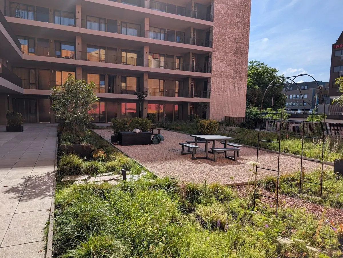 Image 19 of 19