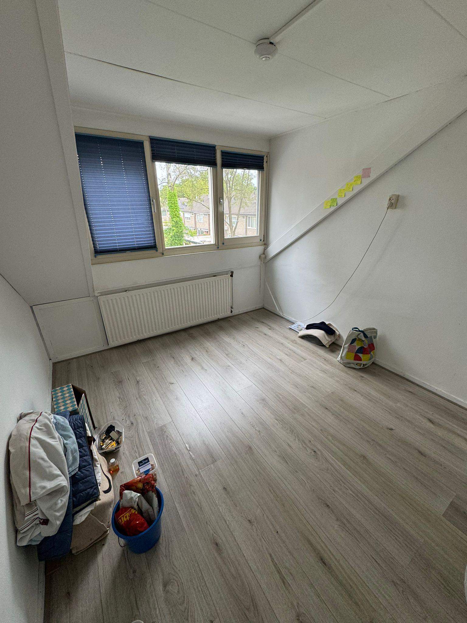 Bild 2 von 2