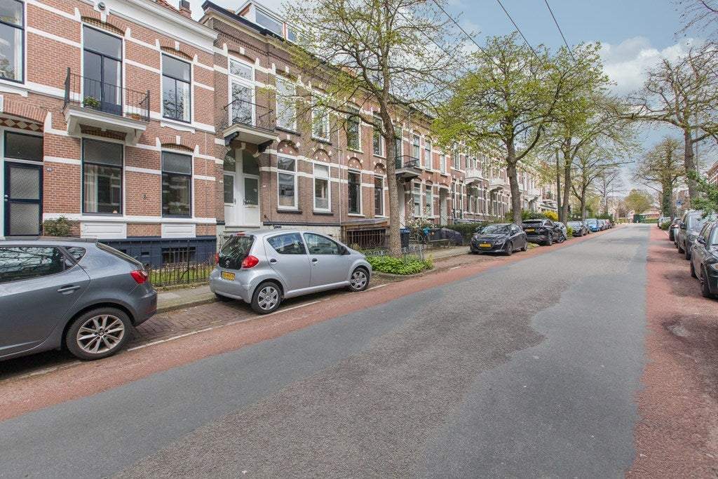 Afbeelding 3 van 53