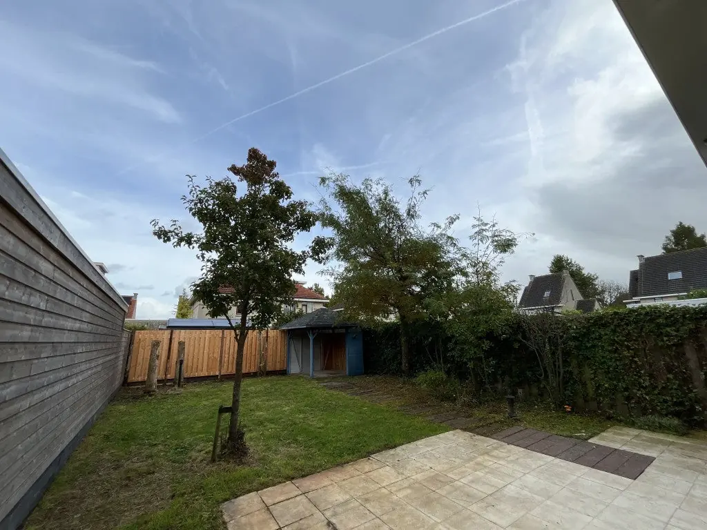 Image 17 of 25