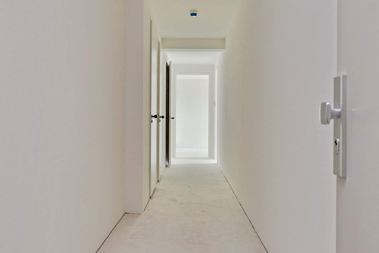 Image 3 of 12