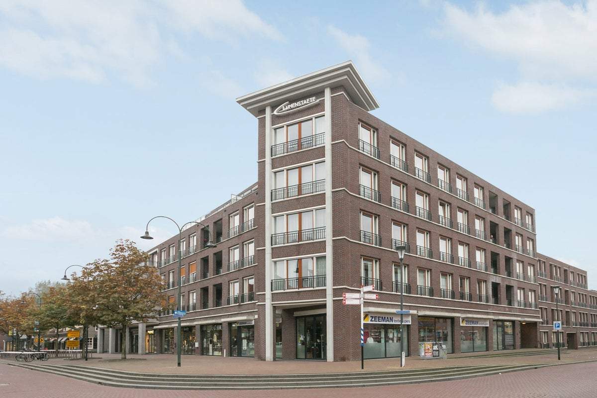 Afbeelding 1 van 19