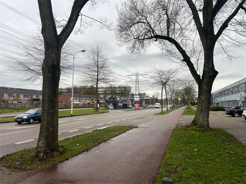 Image 13 of 17