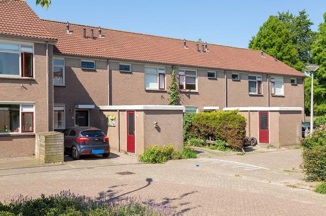 Afbeelding 2 van 12