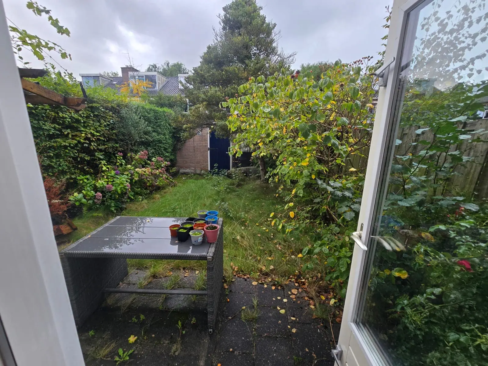 Image 5 of 5