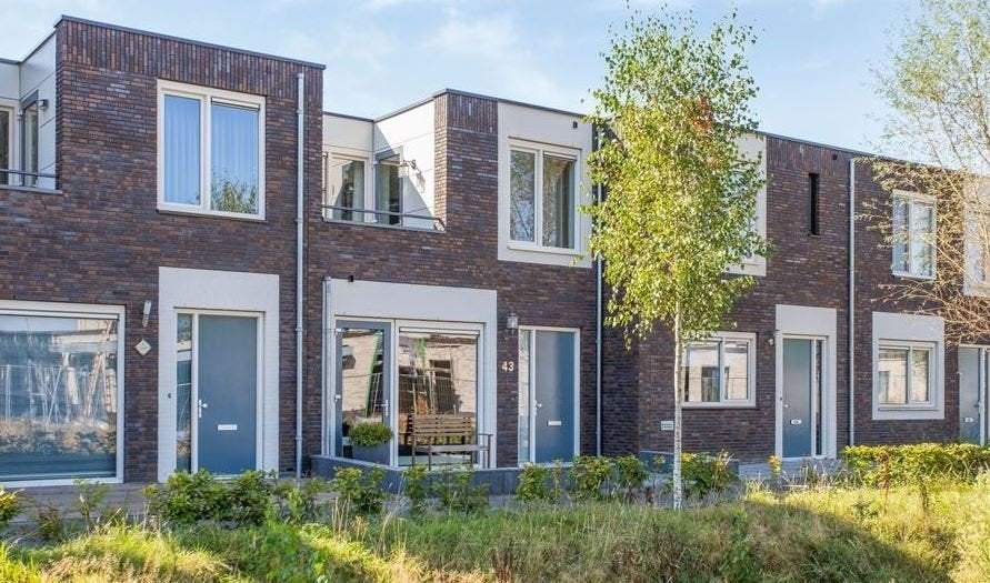 Afbeelding 1 van 20