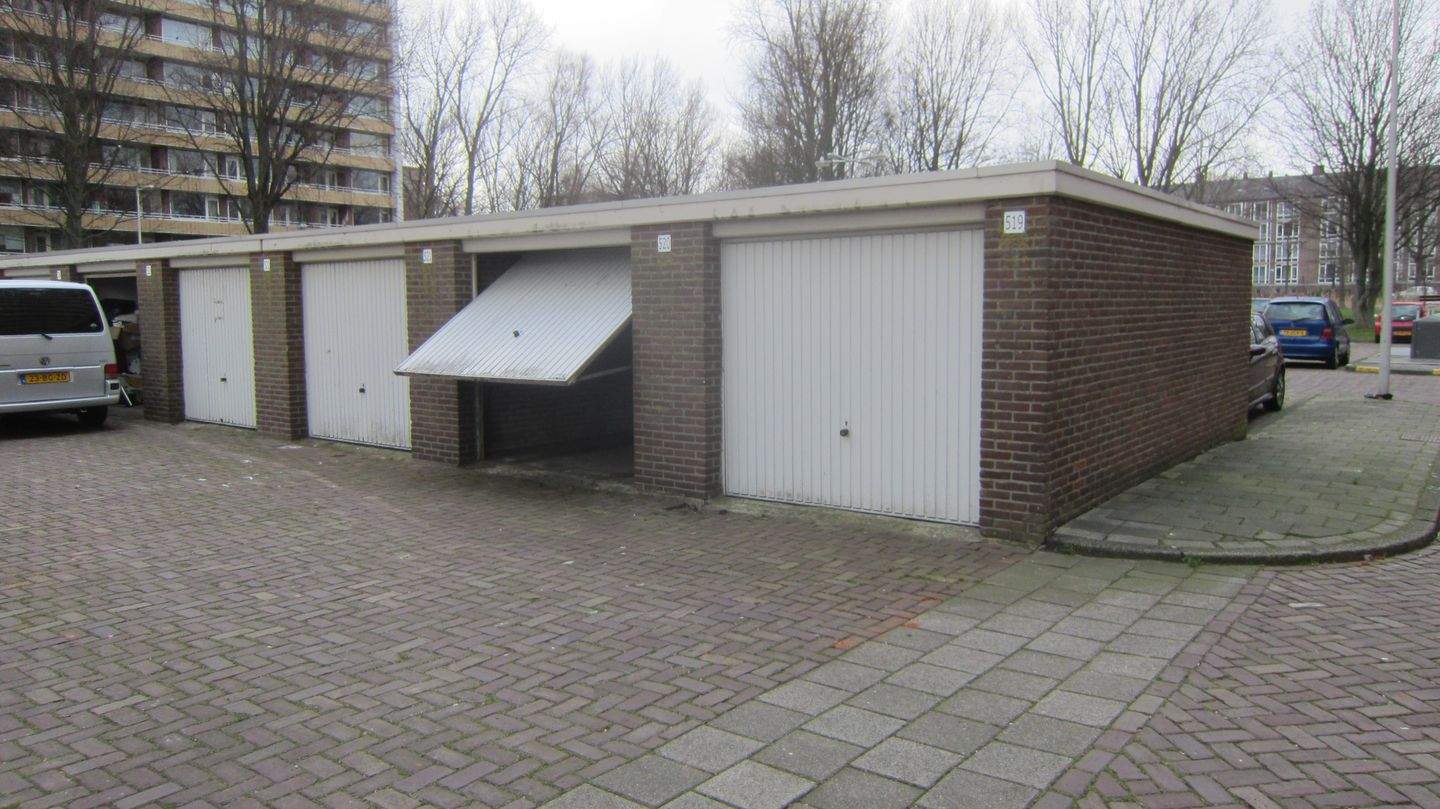 Afbeelding 1 van 1