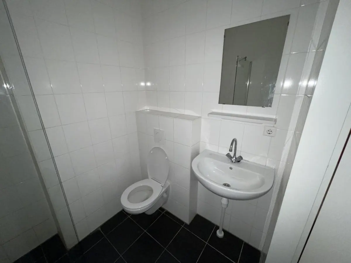 Image 8 of 15