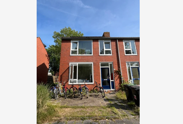 Afbeelding 3 van 14