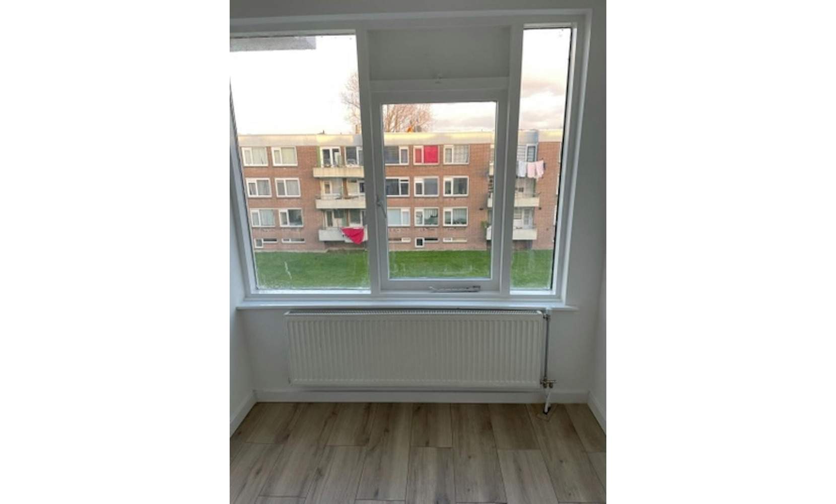 Afbeelding 3 van 10