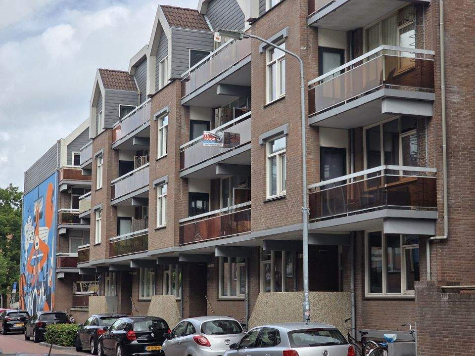 Afbeelding 1 van 17
