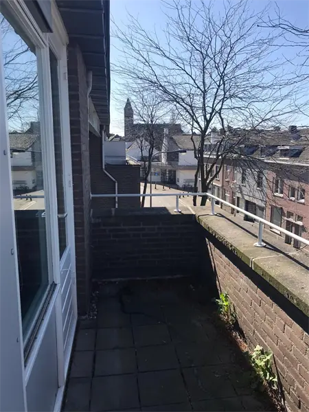Imagen 15 de 15