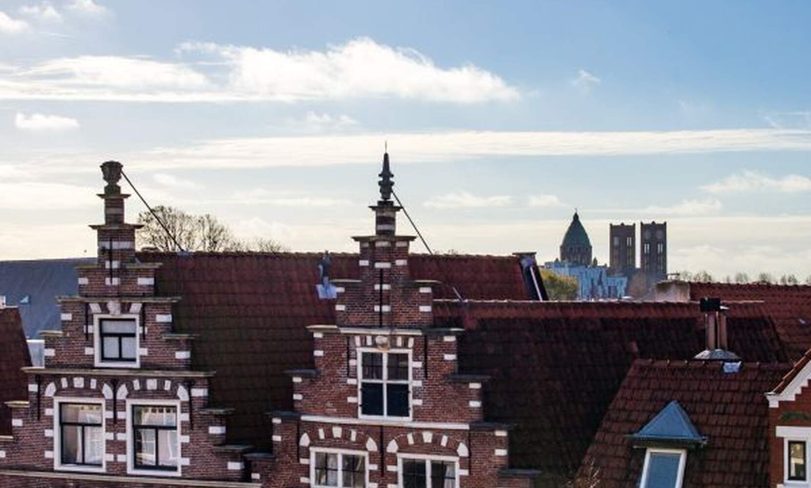 Afbeelding 3 van 10