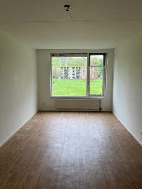 Afbeelding 2 van 6