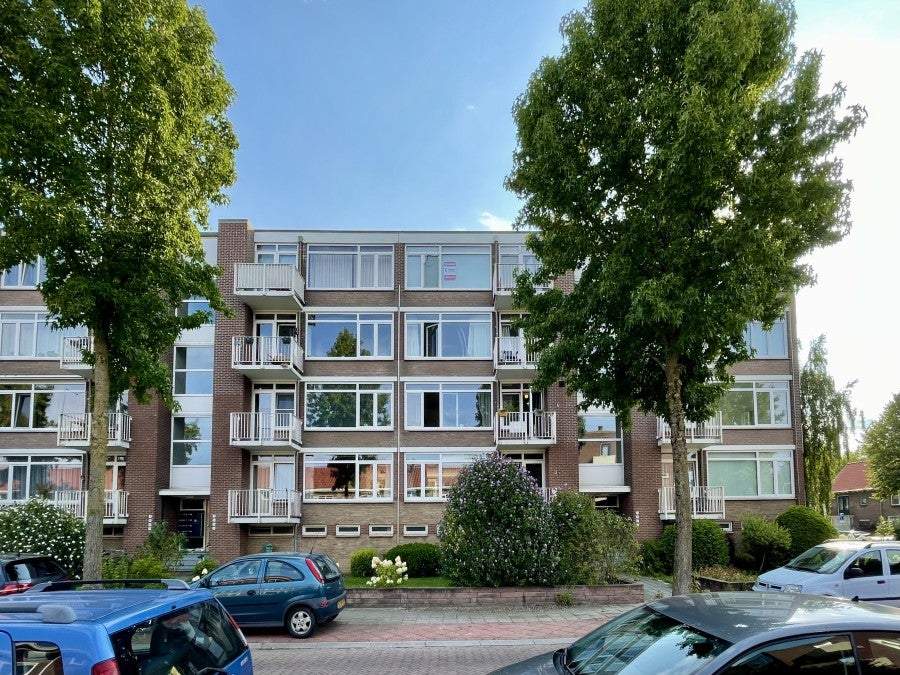 Afbeelding 1 van 11
