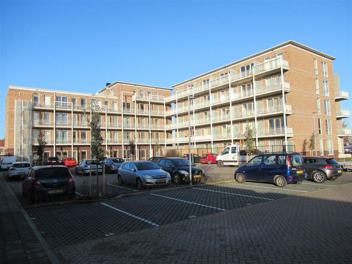 Image 12 of 12