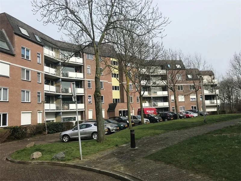 Image 9 of 11