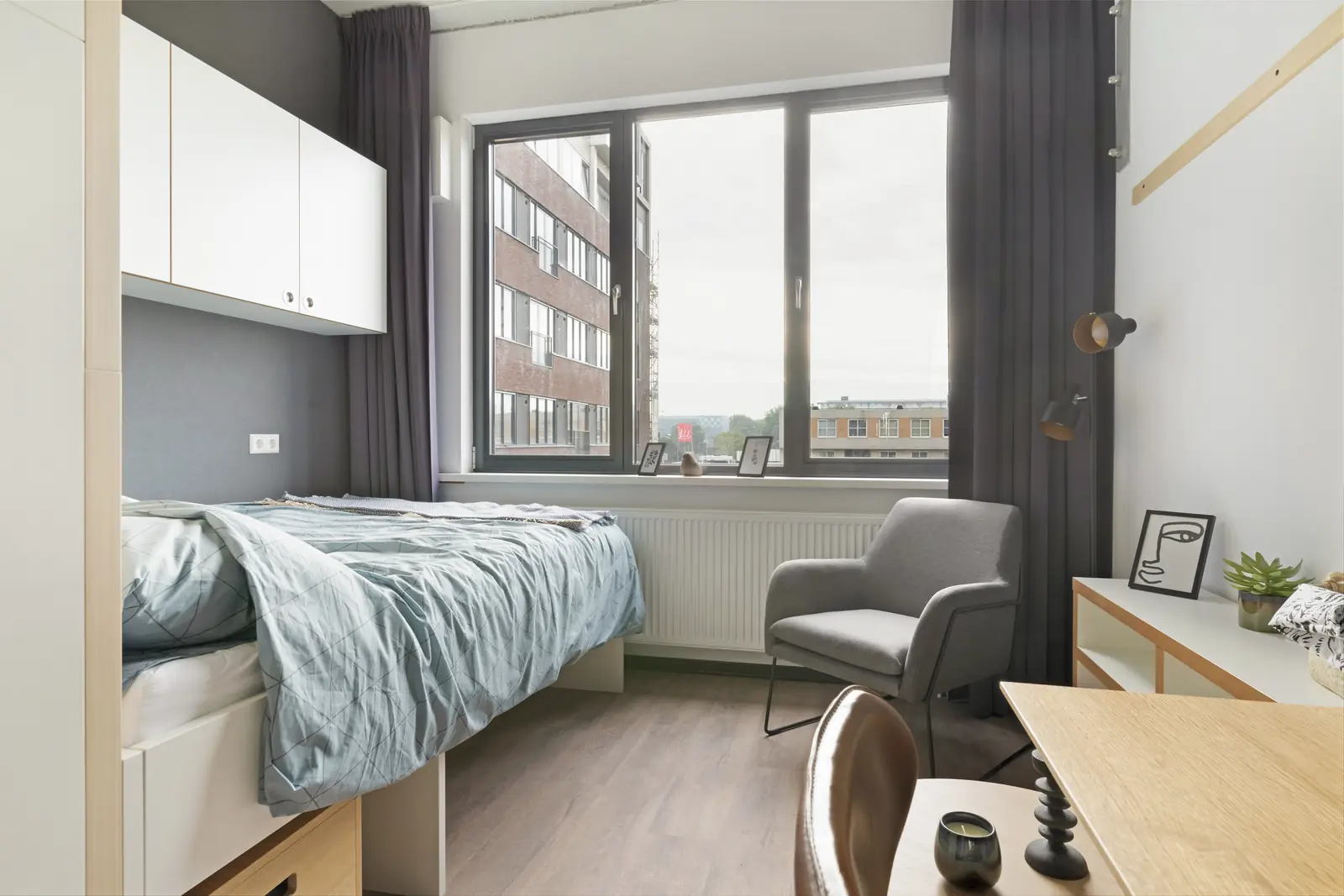 Afbeelding 3 van 12