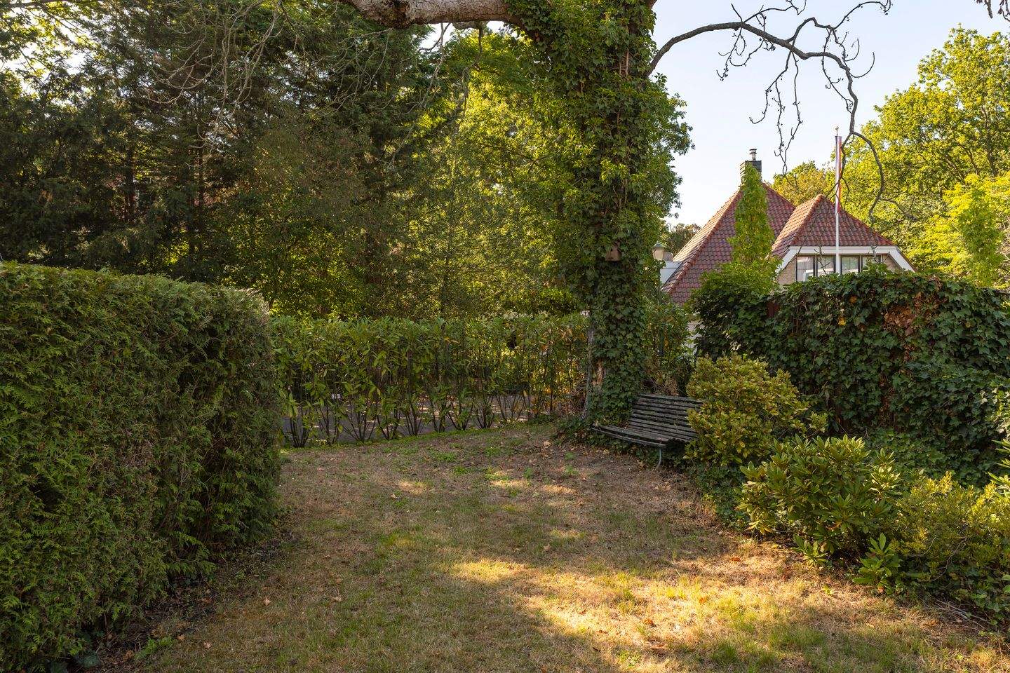 Bild 40 von 48