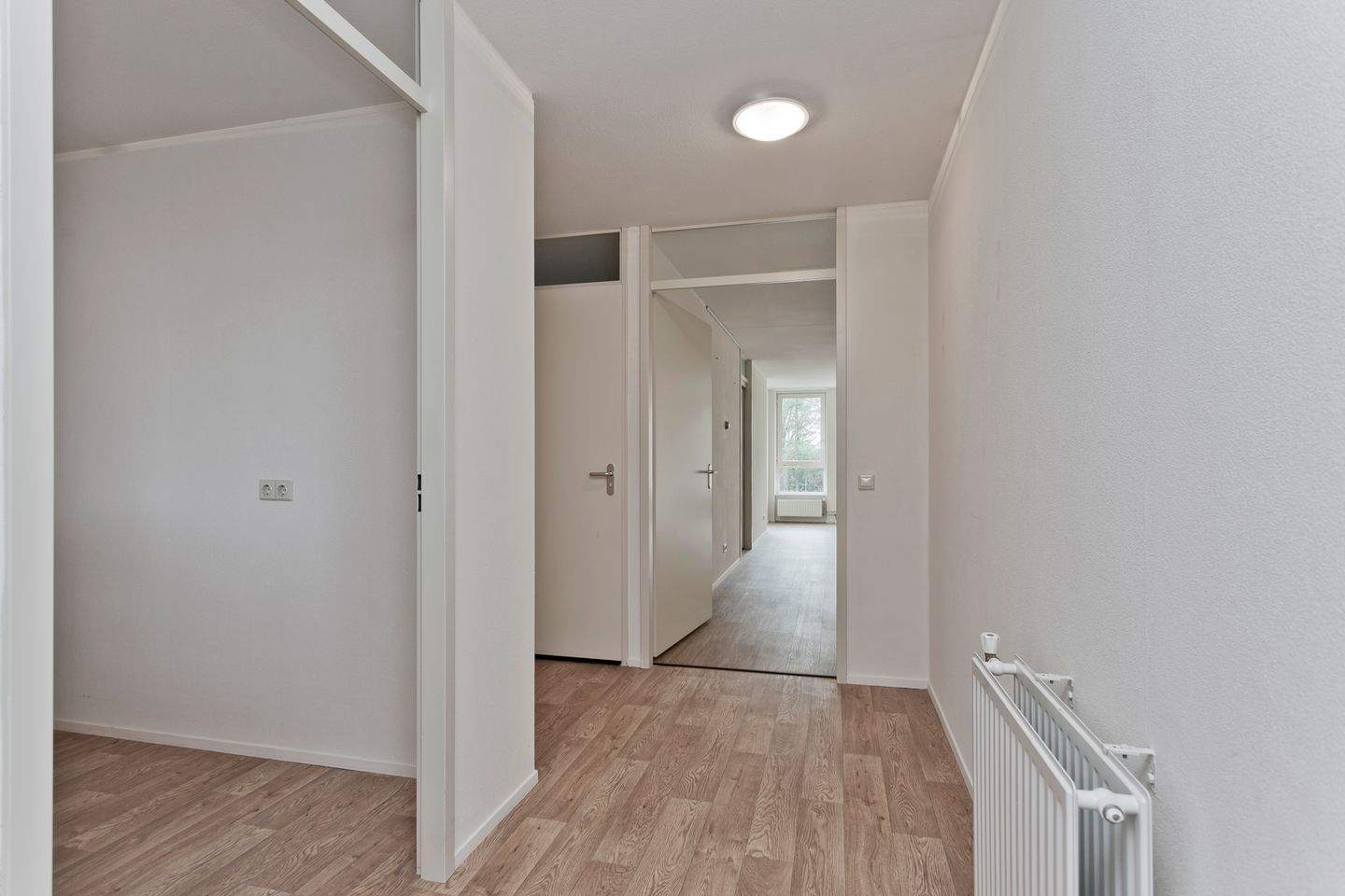 Bild 3 von 12