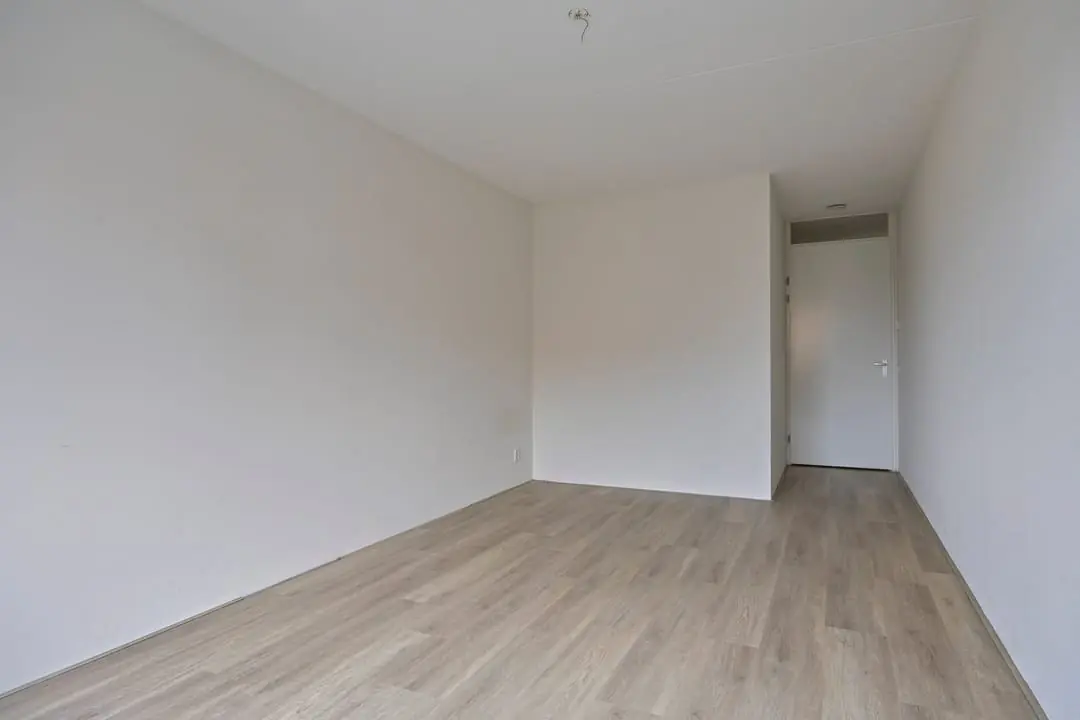 Image 13 of 25