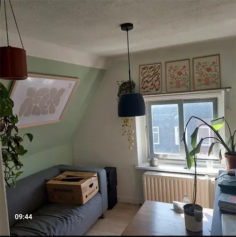 Habitación en Alquiler Prunusstraat, Tilburg