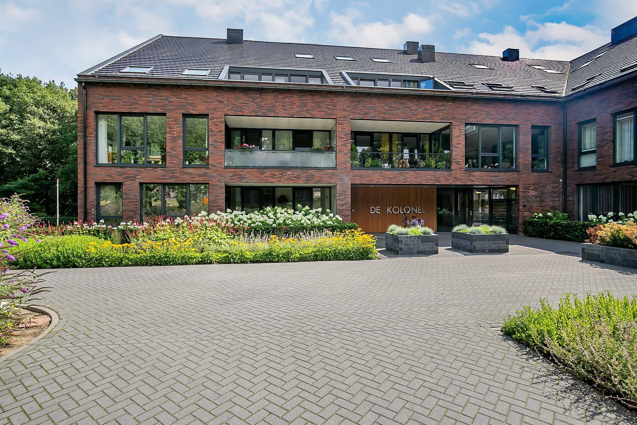 Afbeelding 1 van 20