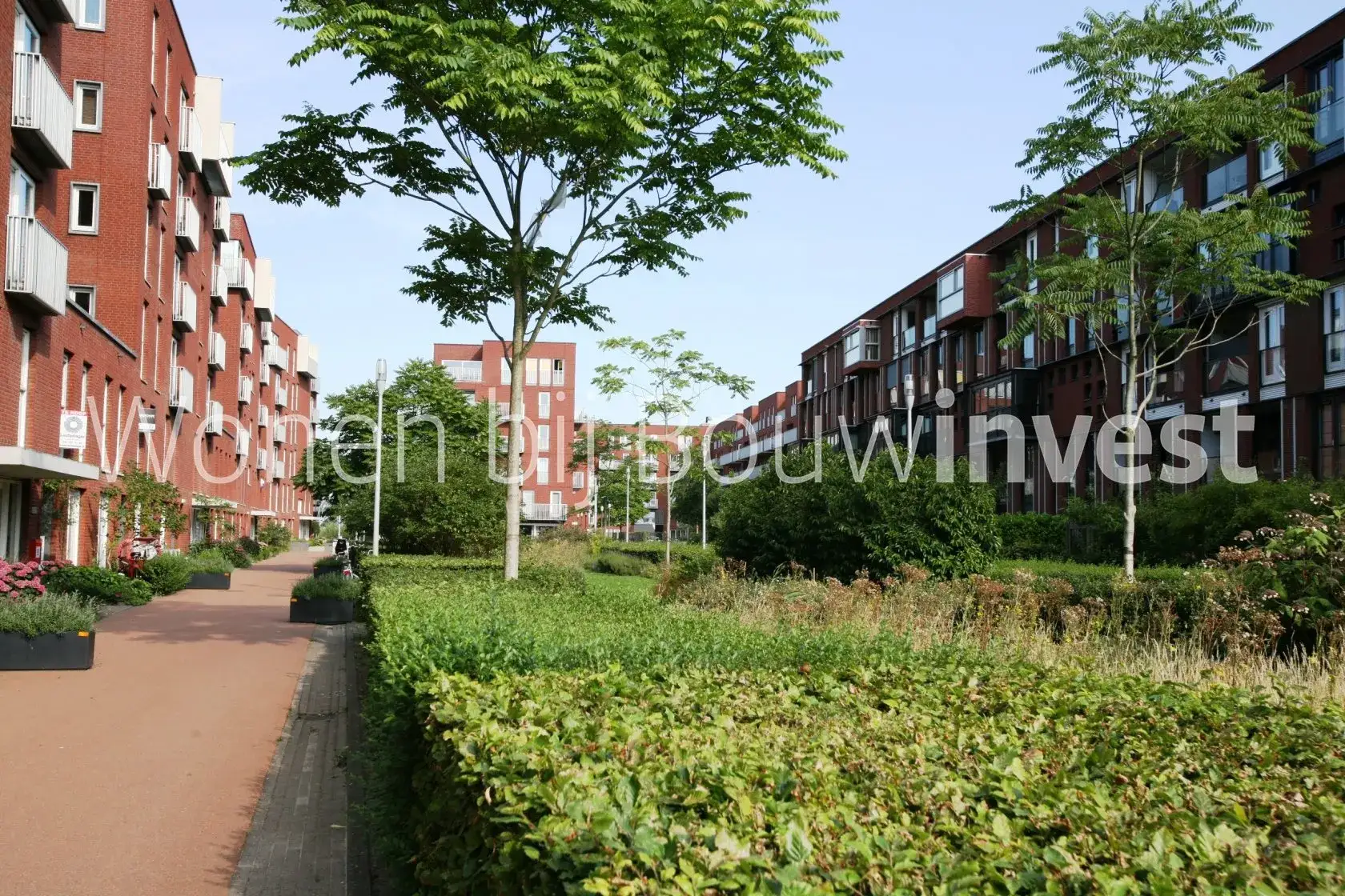 Image 14 of 14