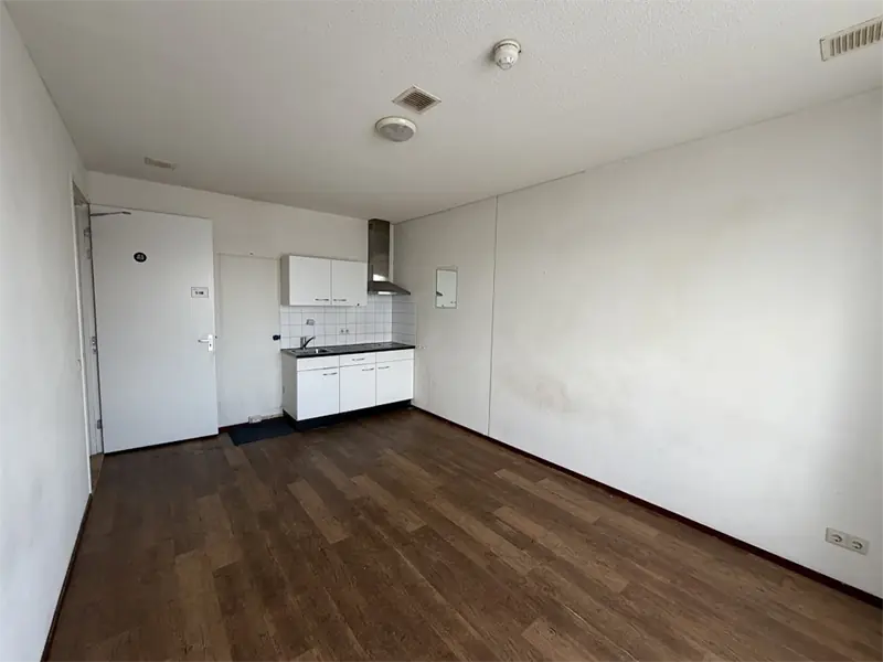 Afbeelding 3 van 6