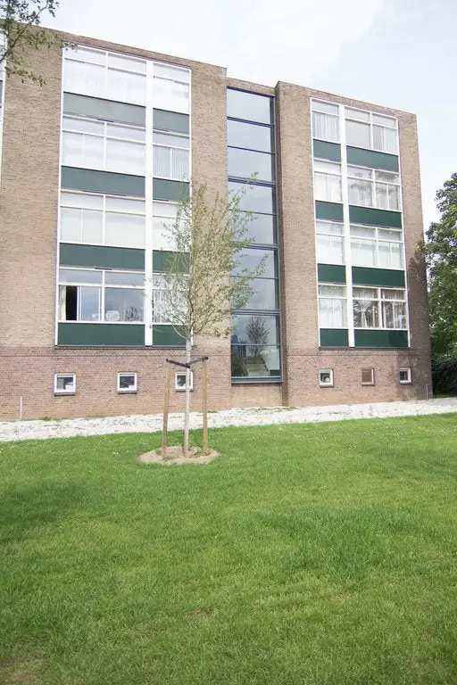 Image 12 of 13