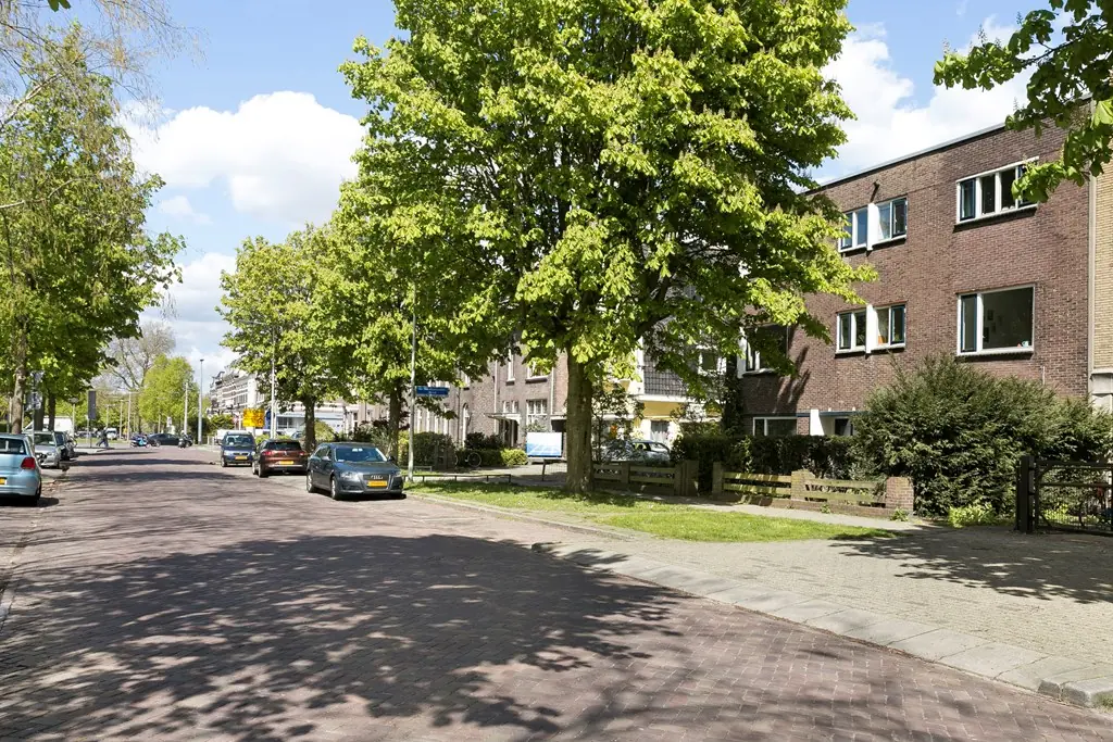 Afbeelding 1 van 9