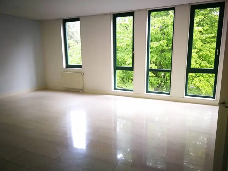 Image 2 of 19