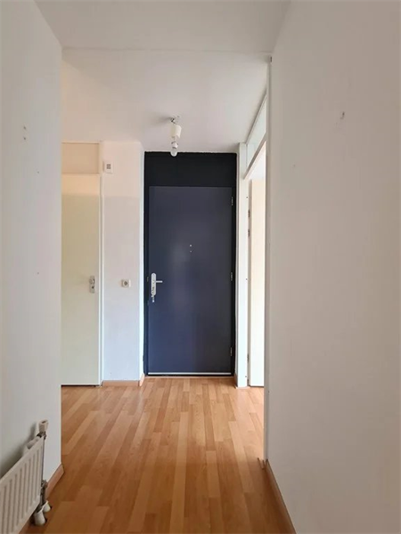 Image 11 of 18