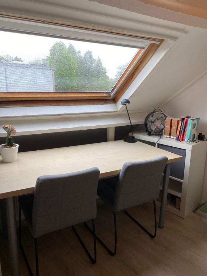 Bild 3 von 3