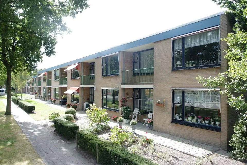 Afbeelding 3 van 3
