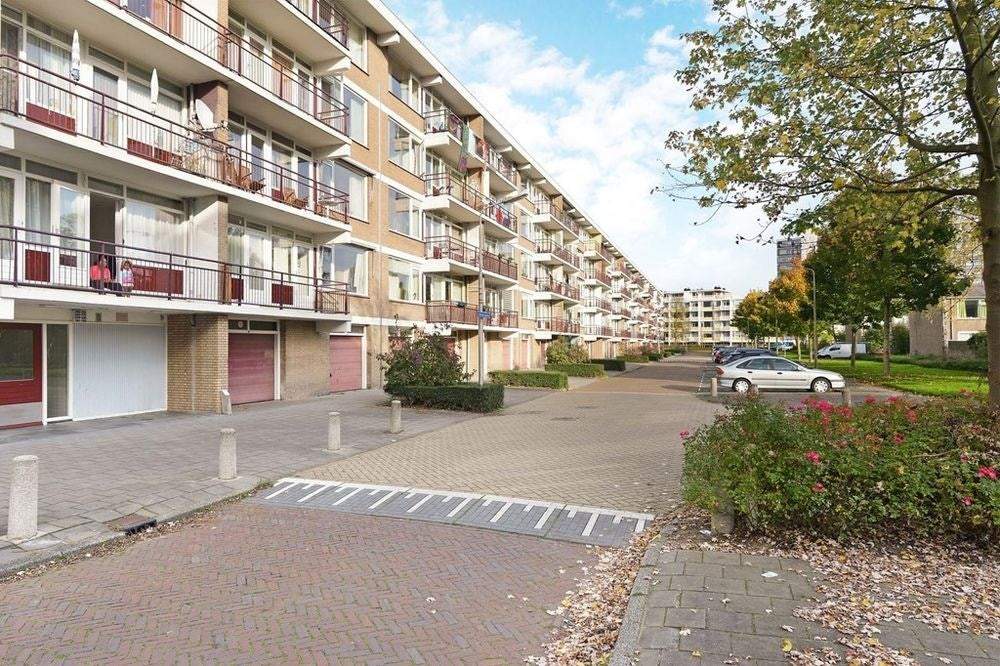 Afbeelding 1 van 17