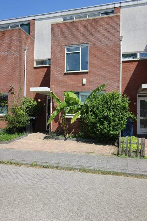 Afbeelding 2 van 30
